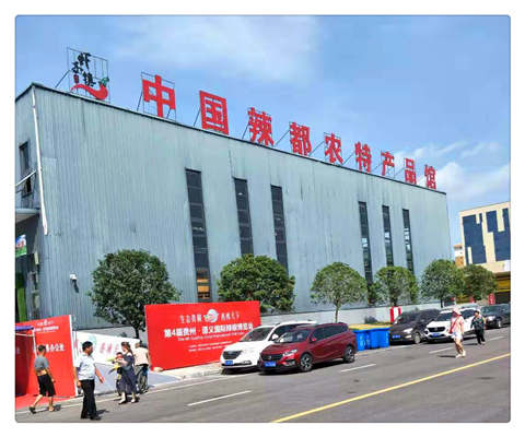 1-1ZR31046491R 首页- 尊龙集团中国官方网站