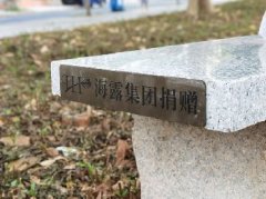 集团党支部落实大花圃经济联社“民生微项目”，提升居民人民幸福感