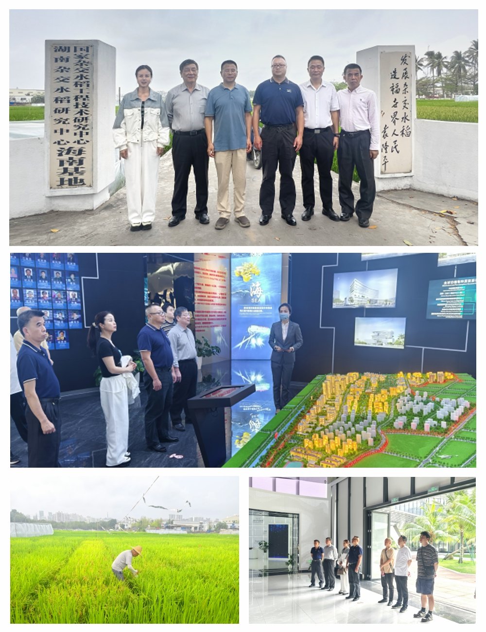 1-24031P93210I4 首页- 尊龙集团中国官方网站