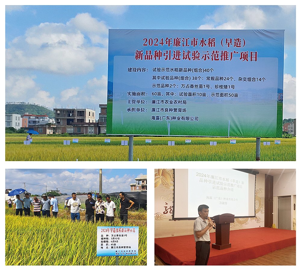 1-240FP92223126 首页- 尊龙集团中国官方网站