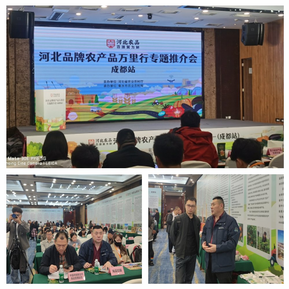 1-24102416292DM 首页- 尊龙集团中国官方网站