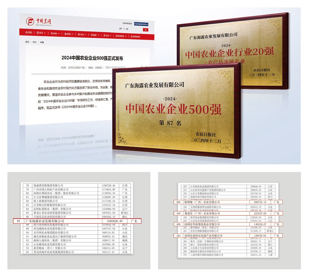 1-2412240943523B 首页- 尊龙集团中国官方网站