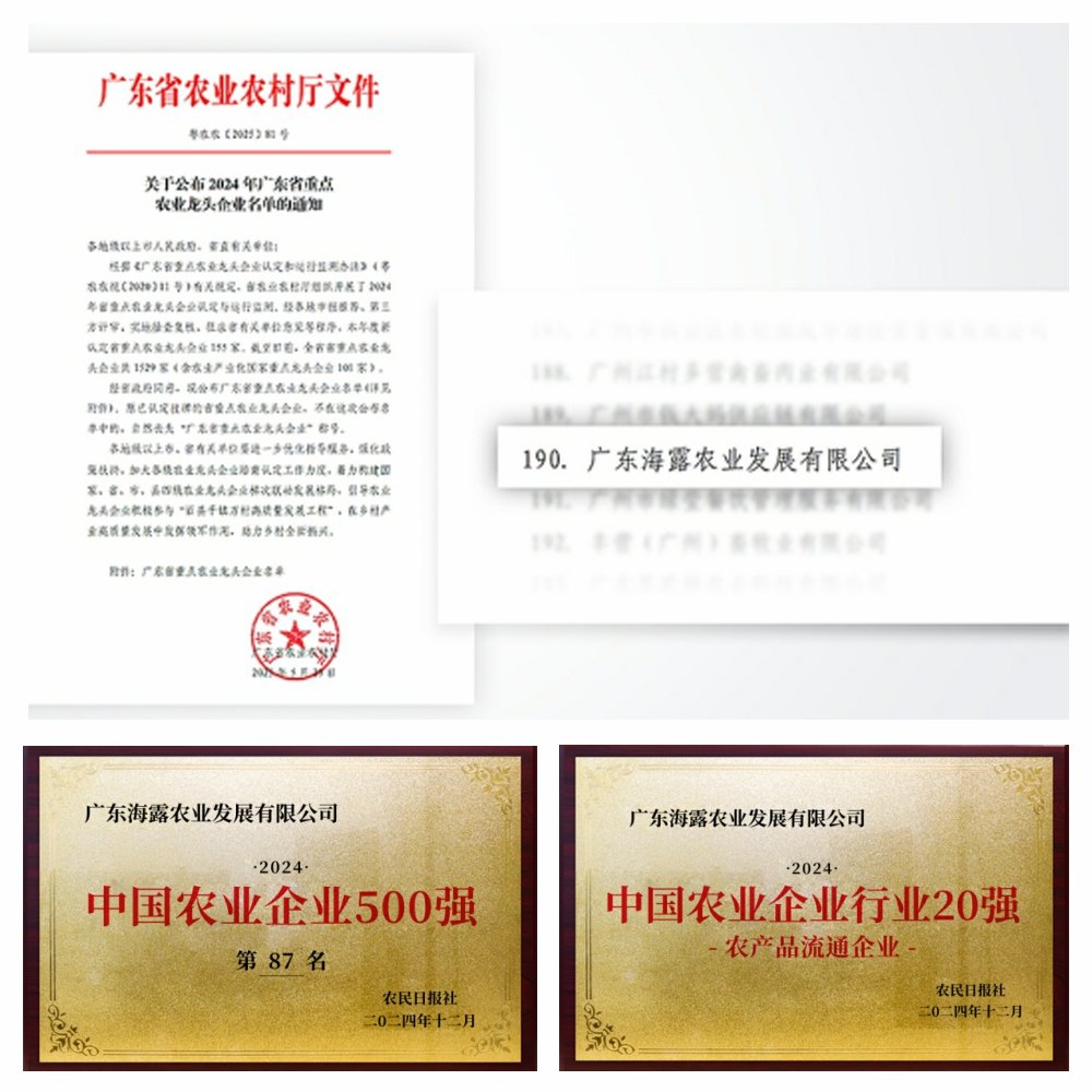 1-2506051411103H 首页- 尊龙集团中国官方网站