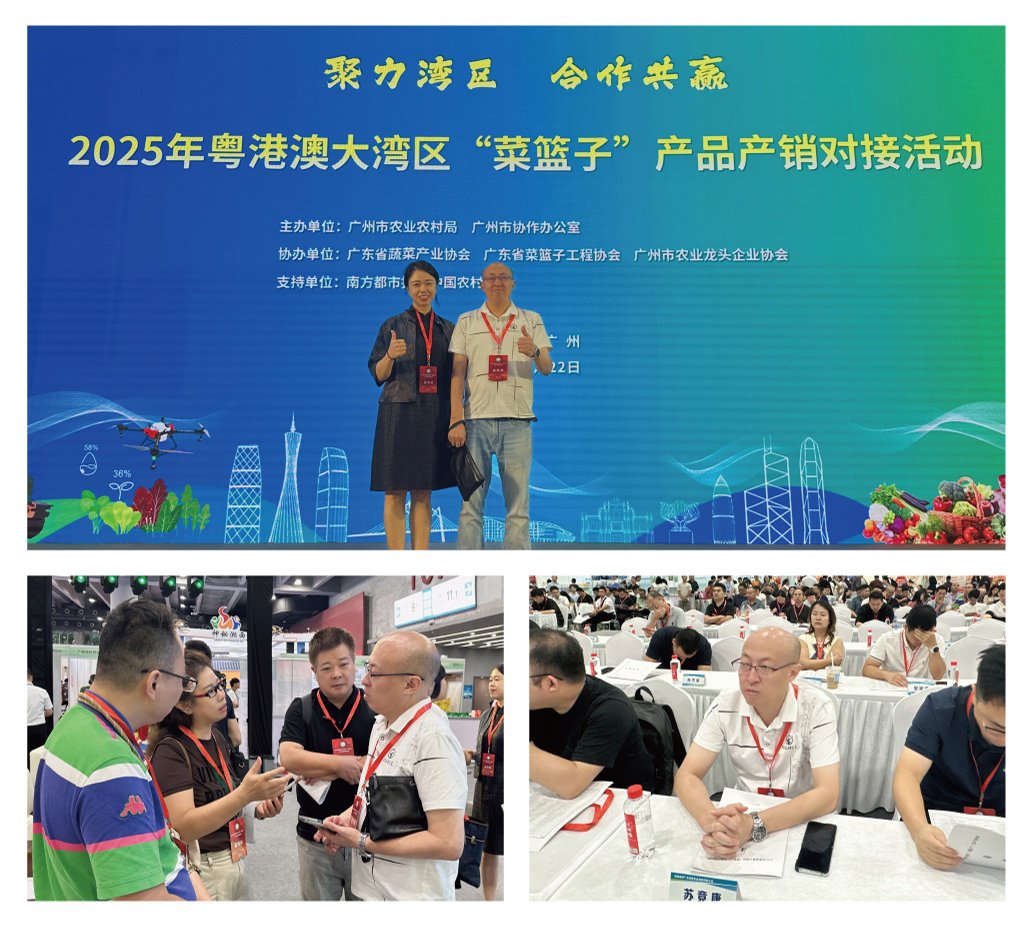 1-250R611033C27 首页- 尊龙集团中国官方网站