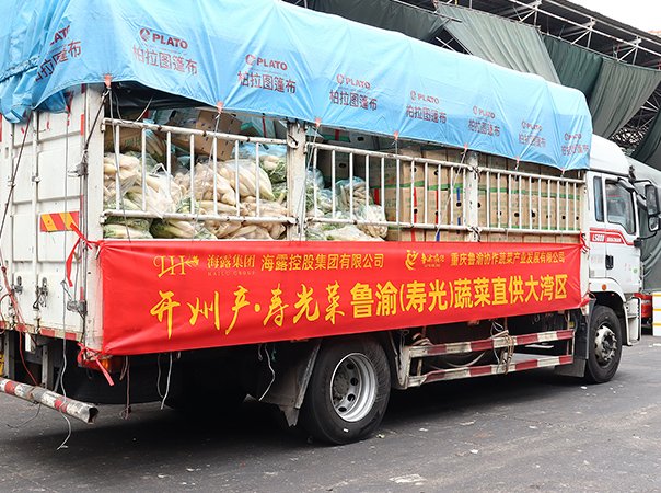 渠路赋能，集团助力沉庆开州蔬菜首发直供大湾区